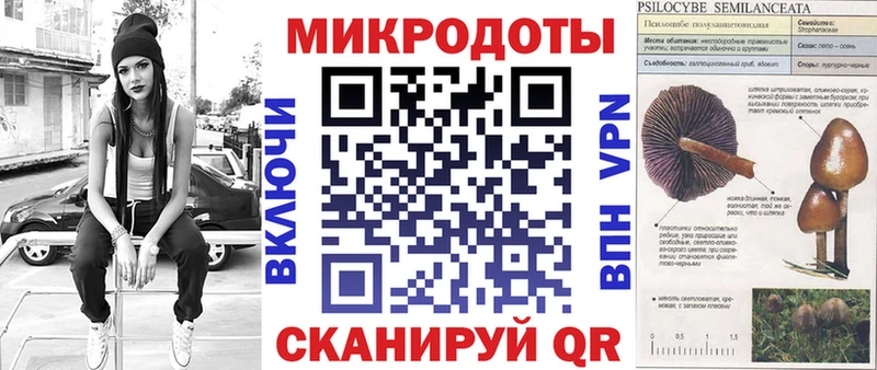 Галлюциногенные грибы Cubensis купить Краснодар